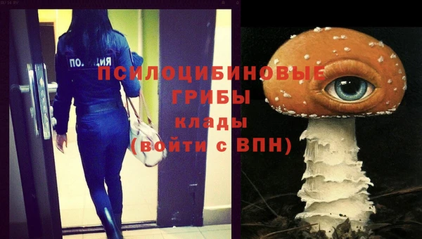 прущий лед Наволоки